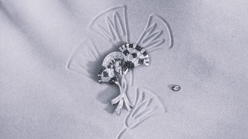 MODA 1